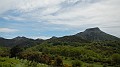 DSCN2556