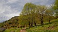 DSCN2557