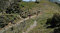 DSCN2568