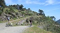 DSCN2870