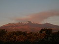 DSCN8496