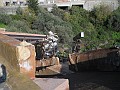 DSCN8499