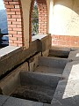 DSCN8503