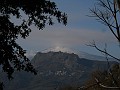 DSCN8507