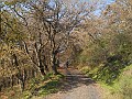 DSCN8521