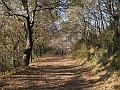 DSCN8522