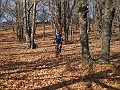 DSCN8527