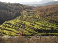 DSCN8538