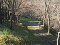 DSCN8544