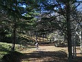 DSCN8553