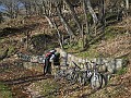 DSCN8554