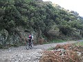 DSCN8584
