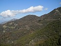 DSCN8585