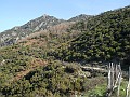 DSCN8586