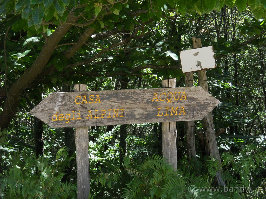DSCN5861.JPG - L'incrocio per la discesa per Fiumedinisi, quindi lasciamo adesso la dorsale