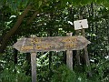 DSCN5861