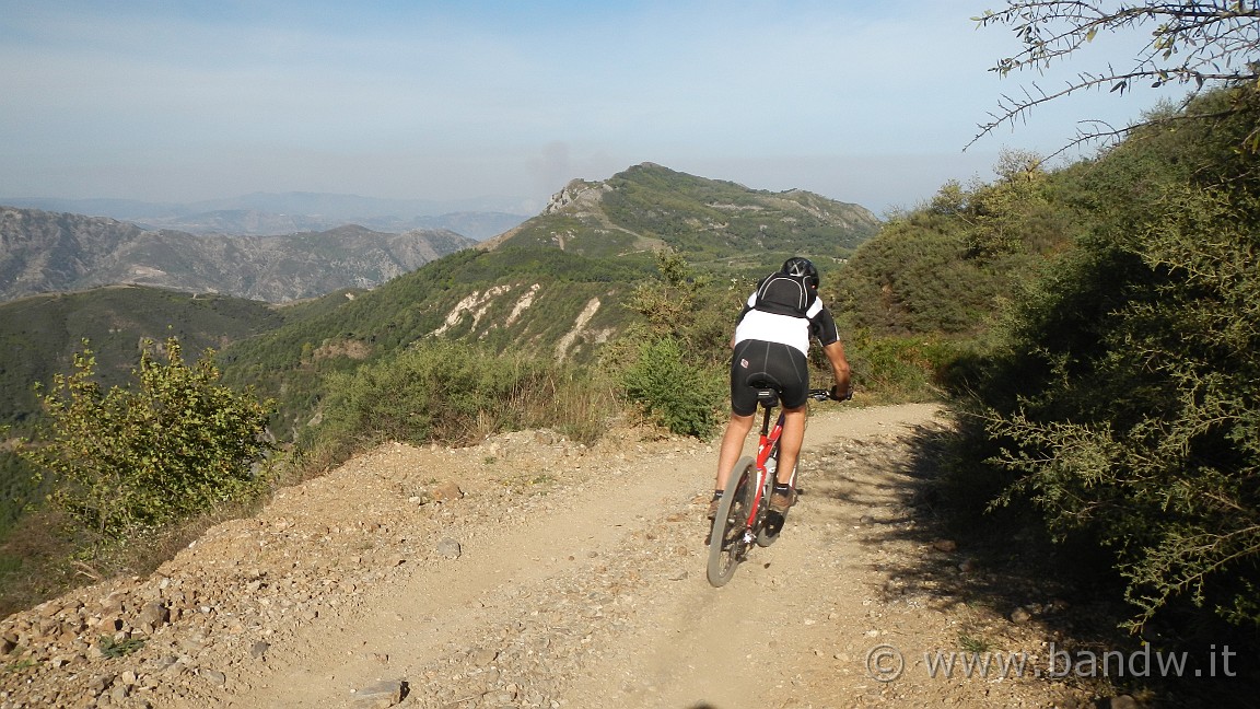 DSCN4557.JPG -                                