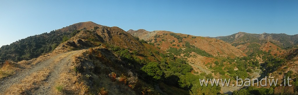 DSCN8576.jpg -                                