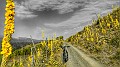 DSCN8924-01