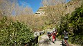 DSCN8018