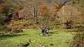 DSCN8023
