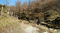 DSCN8039