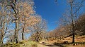 DSCN8044