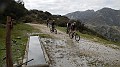 DSCN8050