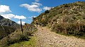 DSCN8085