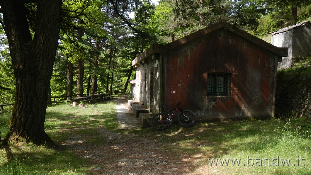 DSCN8910.JPG -                                