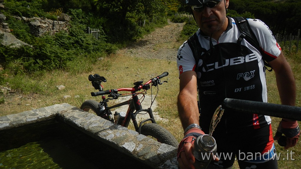 DSCN8920.JPG -                                