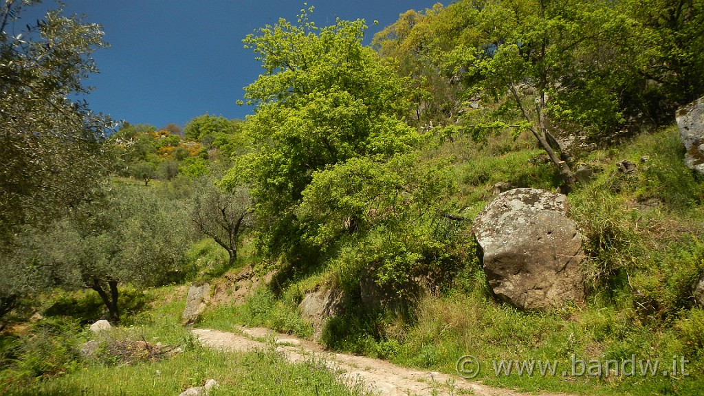 DSCN0581.JPG -                                