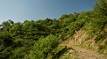 DSCN0529