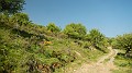 DSCN0533