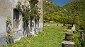 DSCN0582
