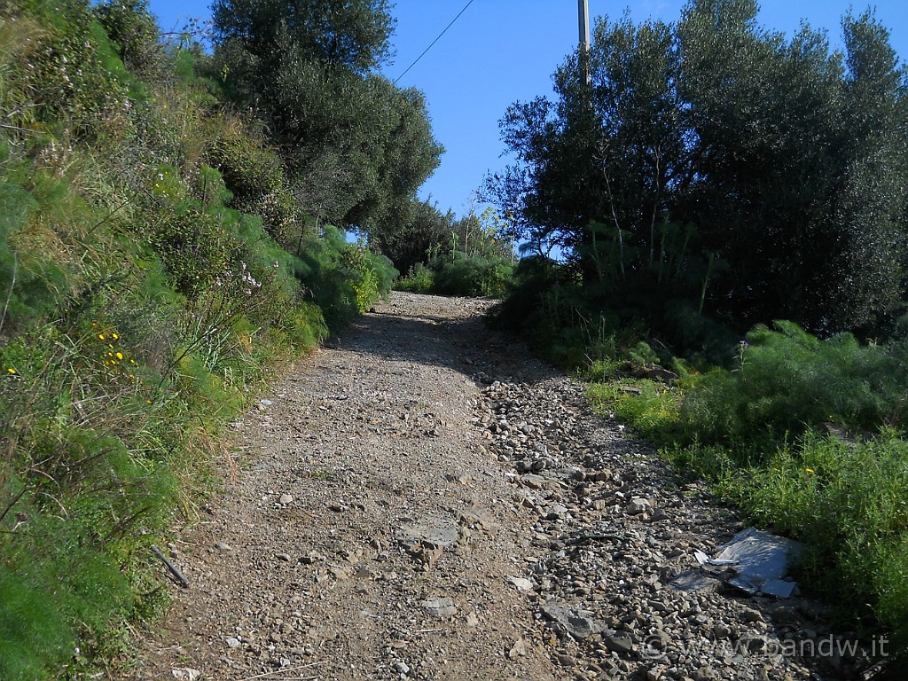 DSCN3652.JPG - Dopo aver lasciato l'asfalto della SS 114.................come inizio non c'è male!!!!!