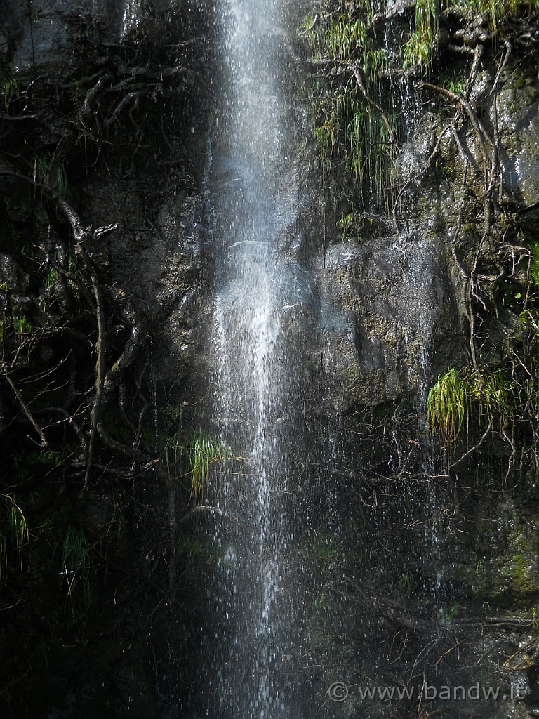 DSCN3689.JPG - .....................