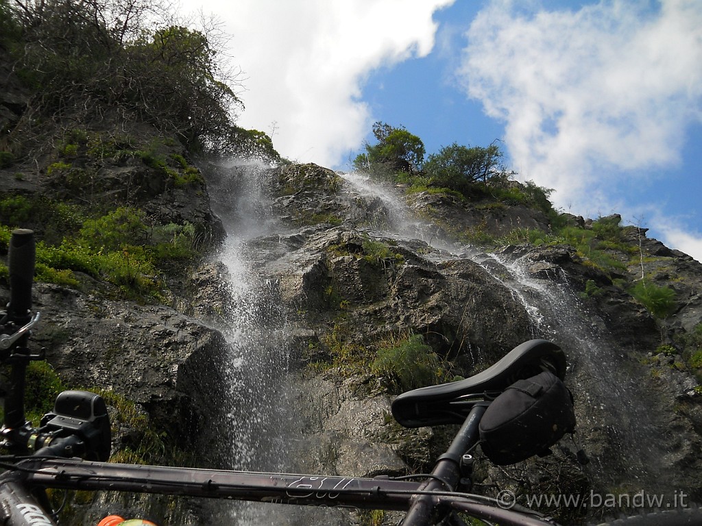 DSCN3692.JPG - ...............