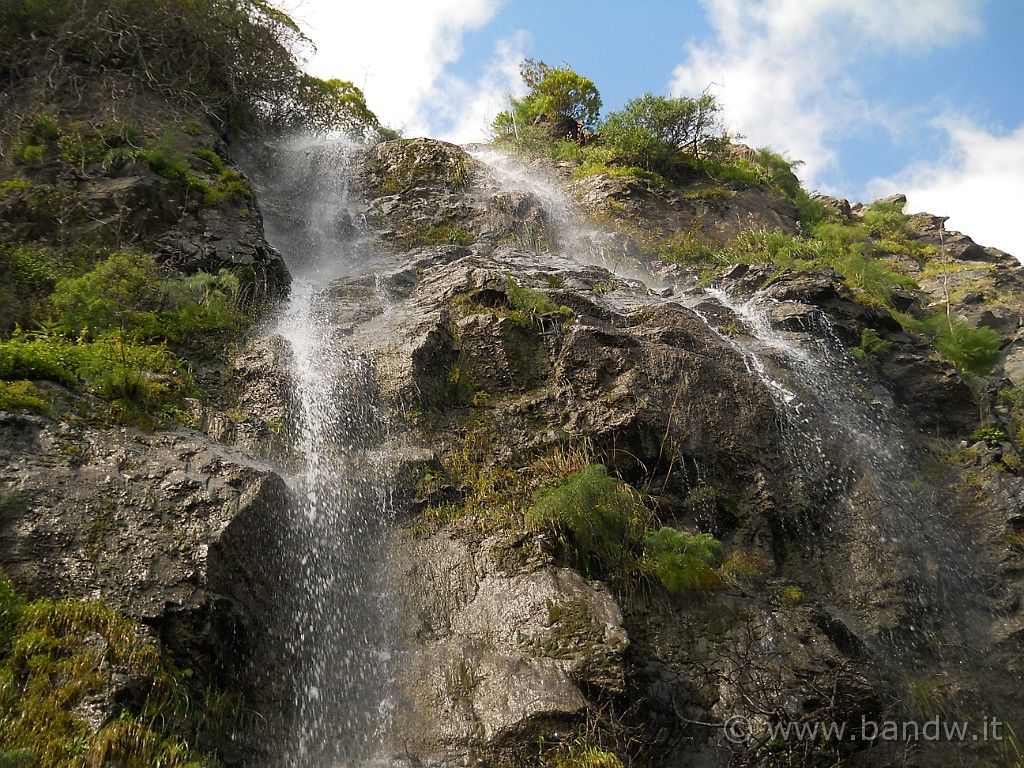 DSCN3694.JPG - .....................
