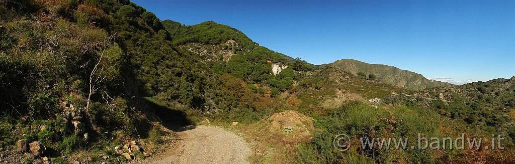 DSCN9561.jpg -                                