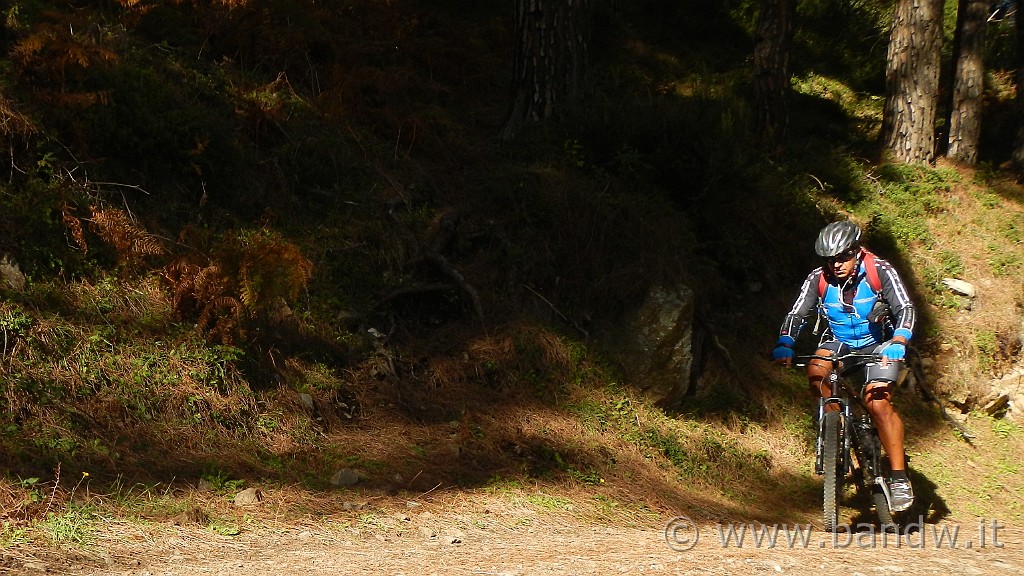 DSCN9565.JPG -                                