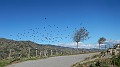 DSCN9542