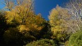 DSCN9559