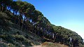 DSCN9564