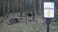 DSCN9581