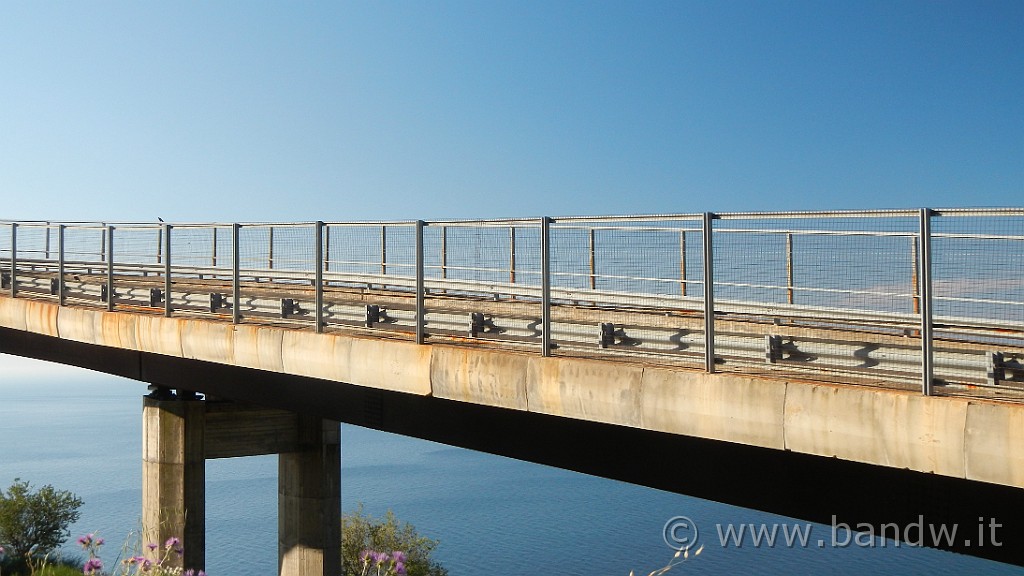 DSCN9158.JPG -                                
