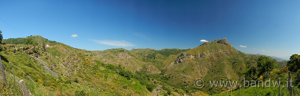 DSCN9178.JPG -                                