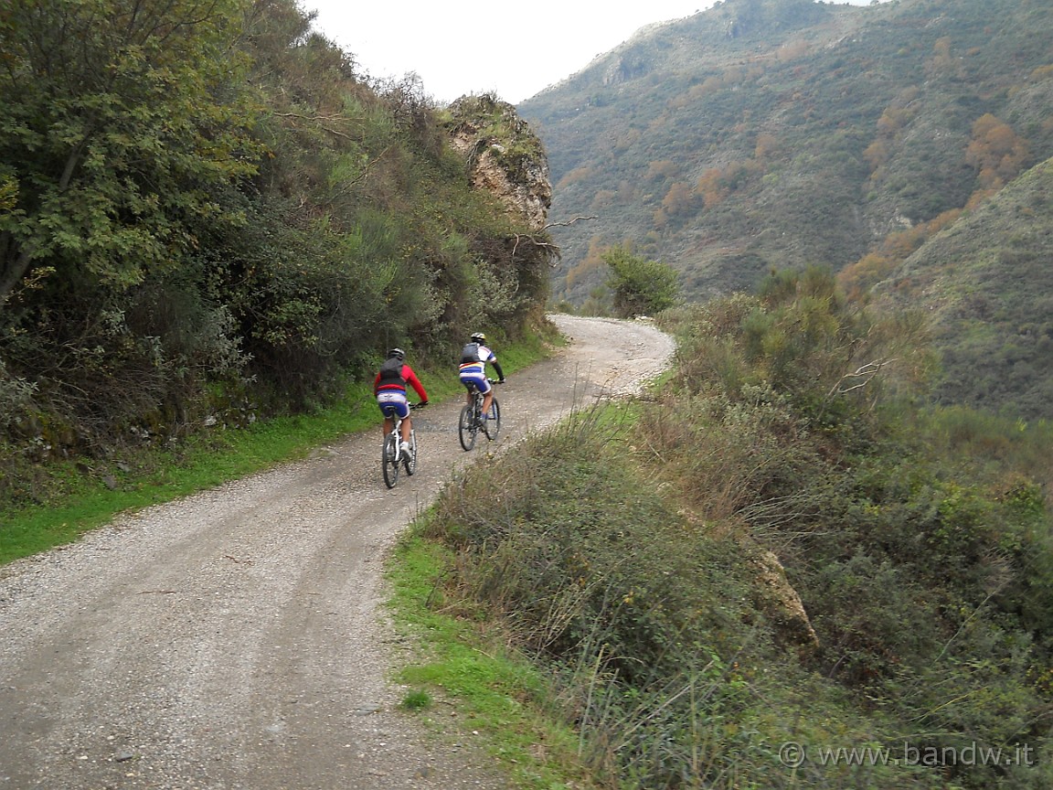 DSCN8189.JPG -           