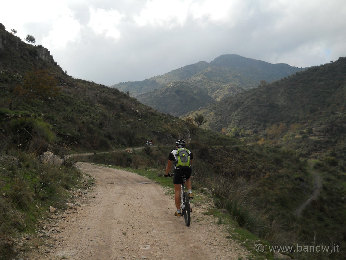 DSCN8192.JPG -           