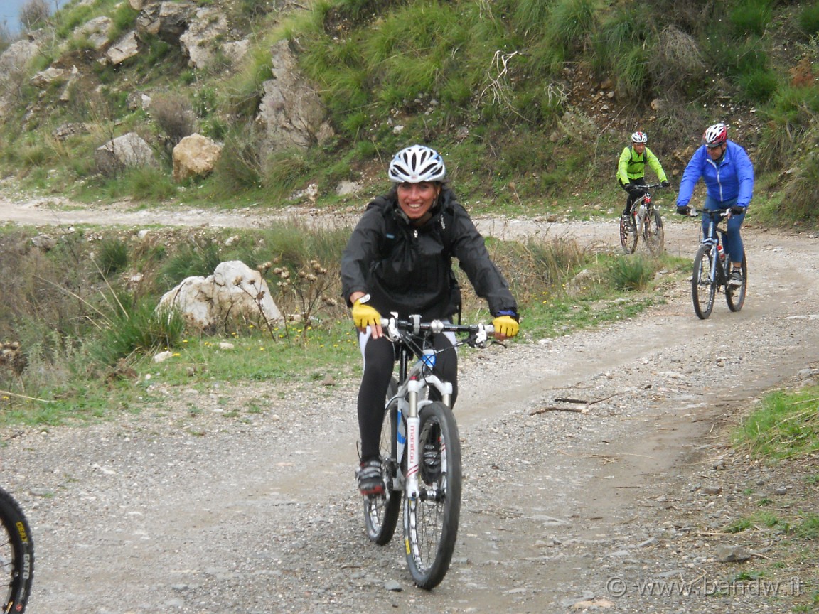 DSCN8194.JPG -           